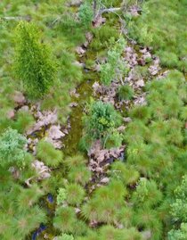 aerial view moor | © TVB Bad Waltersdorf | © TVB Bad Waltersdorf
