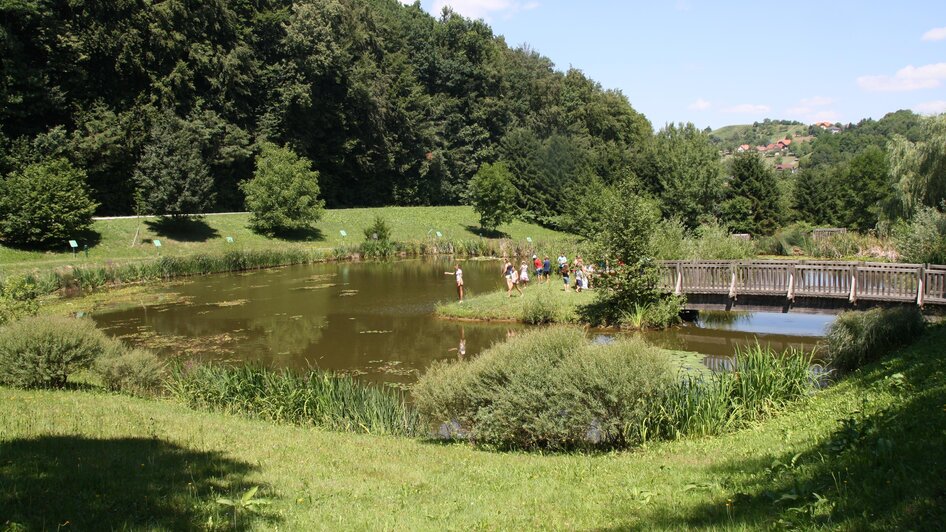 Naturteichanlage Unterlamm | © Gemeinde Unterlamm