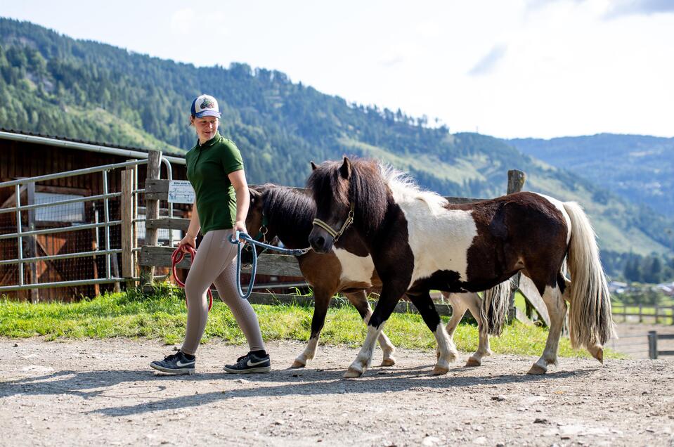 Reiten am Olachgut - Impression #1 | © Tourismusverband Murau