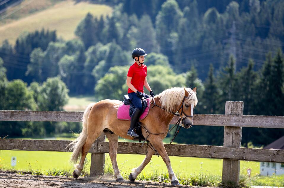 Reiten am Zechnerhof - Impression #1 | © Tourismusverband Murau