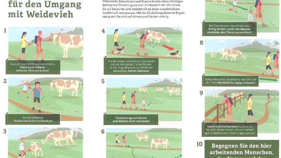 Verhaltensregeln auf Österreichs Almen | © Bundesministerium für Nachhaltigkeit und Tourismus