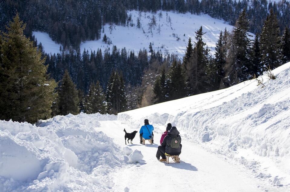 Toboggan Lachtal - Impression #1 | © Tourismusverband Murau
