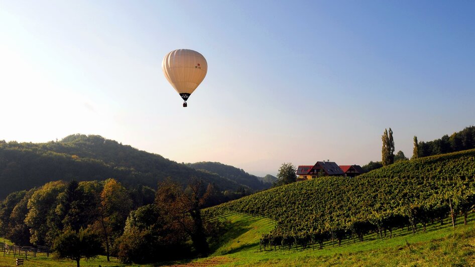 Weingut Rothschädl. | © Margit & Anton Rothschädl | Weingut Rothschädl