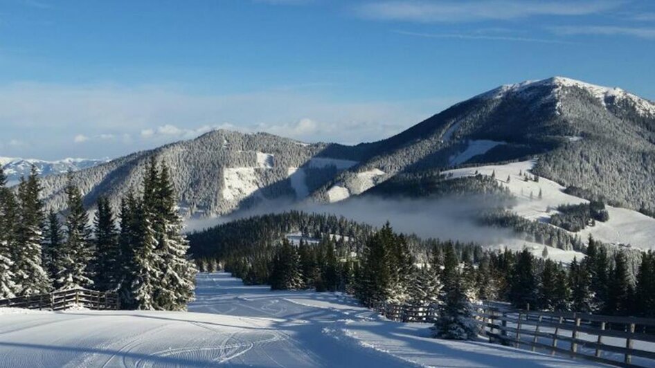 Skiarea Salzstiegl - Impression #2.1