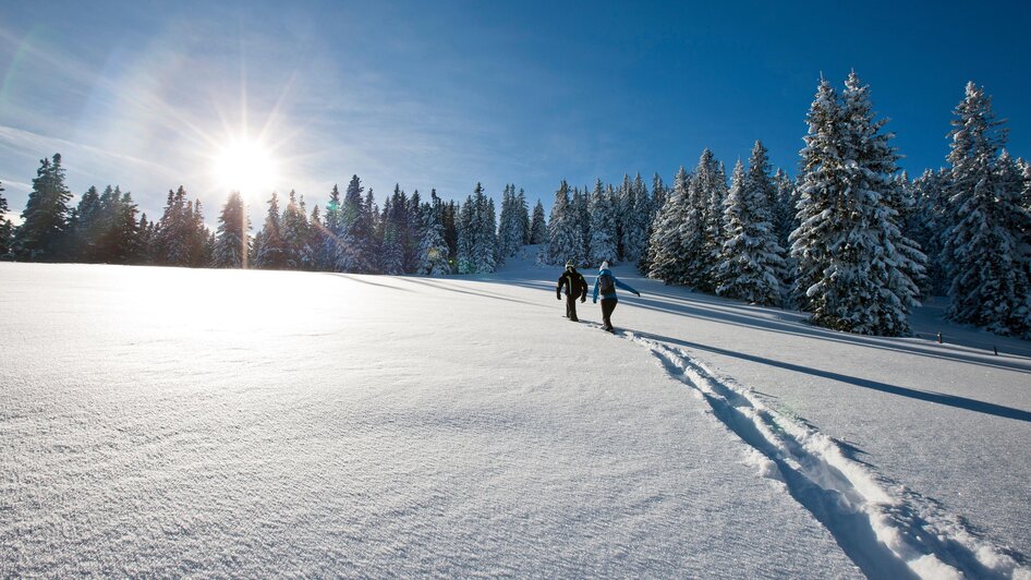 Skiarea Salzstiegl - Impression #2.3
