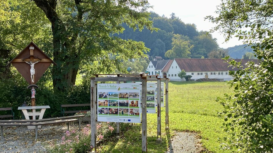 Schwarzpappel mit Schautafel | © Gemeinde Unterlamm