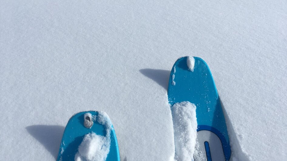 Skiarea Salzstiegl - Impression #2.8