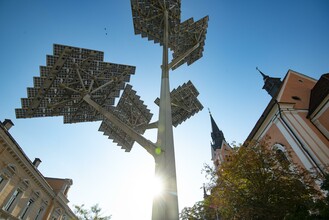 Solarbaum_Hauptplatz_Oststeiermark | © Stadtgemeinde Gleisdorf_Tourismusverband Oststeiermark