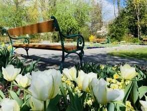 Stadtpark_Bank_Oststeiermark | © Stadtgemeinde Gleisdorf_Tourismusverband Oststeiermark