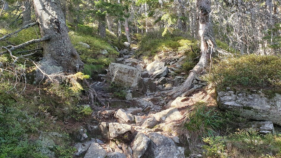 Steinerne Stiege | © Oststeiermark Tourismus