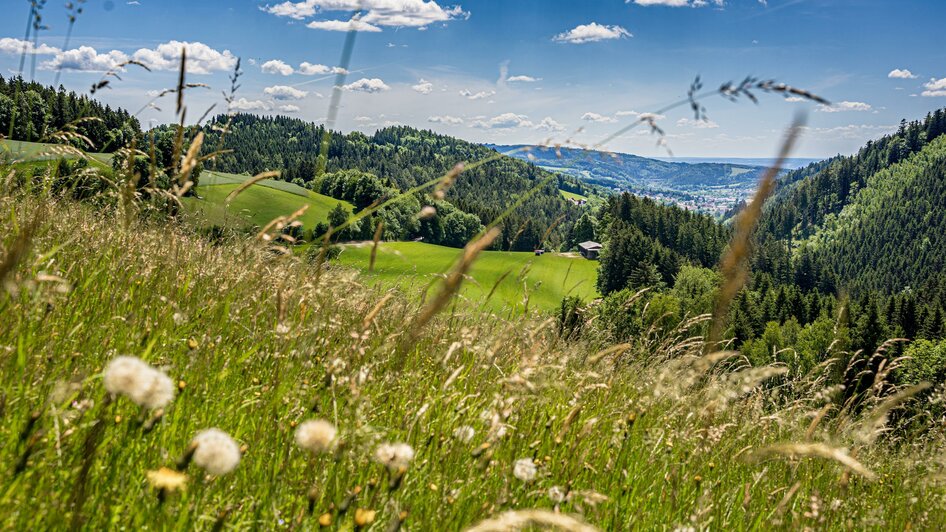 Blumenstraße_St. Lorenzen/Wechsel_Oststeiermark | © Tourismusverband Oststeiermark