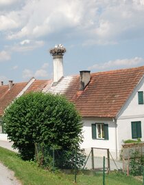Störche im Nest in Bad Blumau | © Kurkommission Bad Blumau | © Kurkommission Bad Blumau