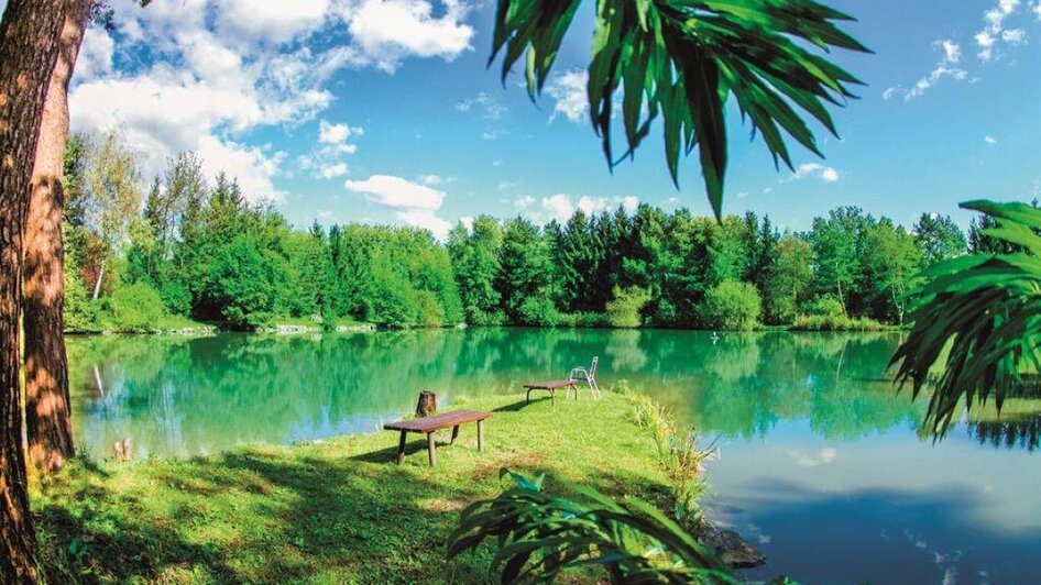 Teichpark | © TV Südsteiermark - Petru Rimovetz