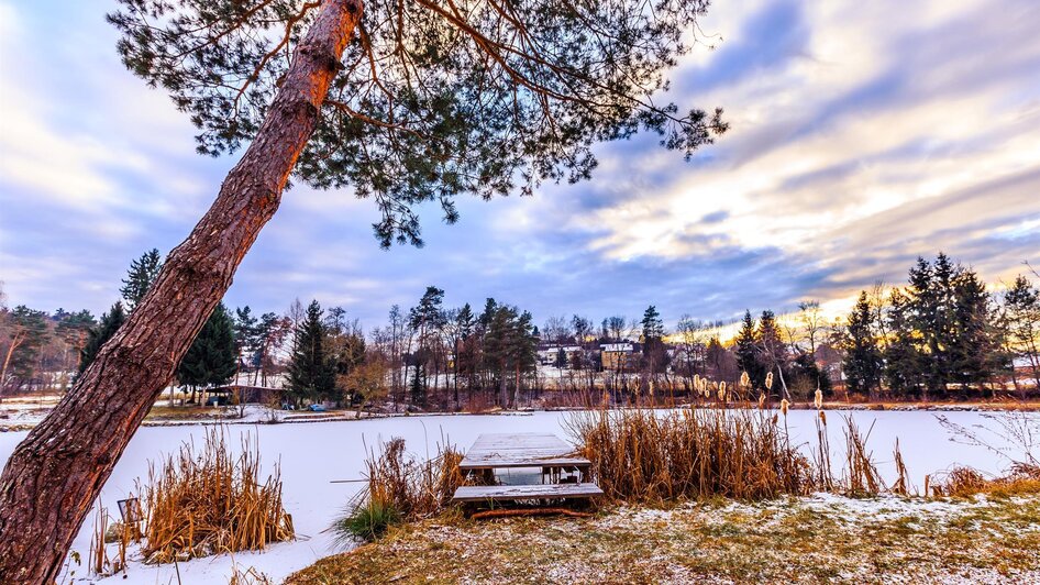 Der Teichpark im Winter | © TV Südsteiermark - Petru Rimovetz