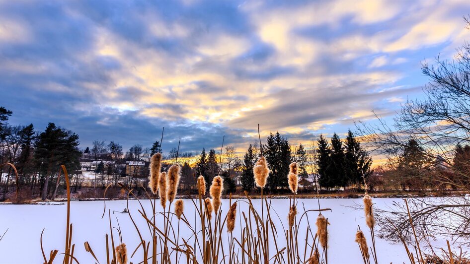 Winterlandschaft | © TV Südsteiermark - Petru Rimovetz