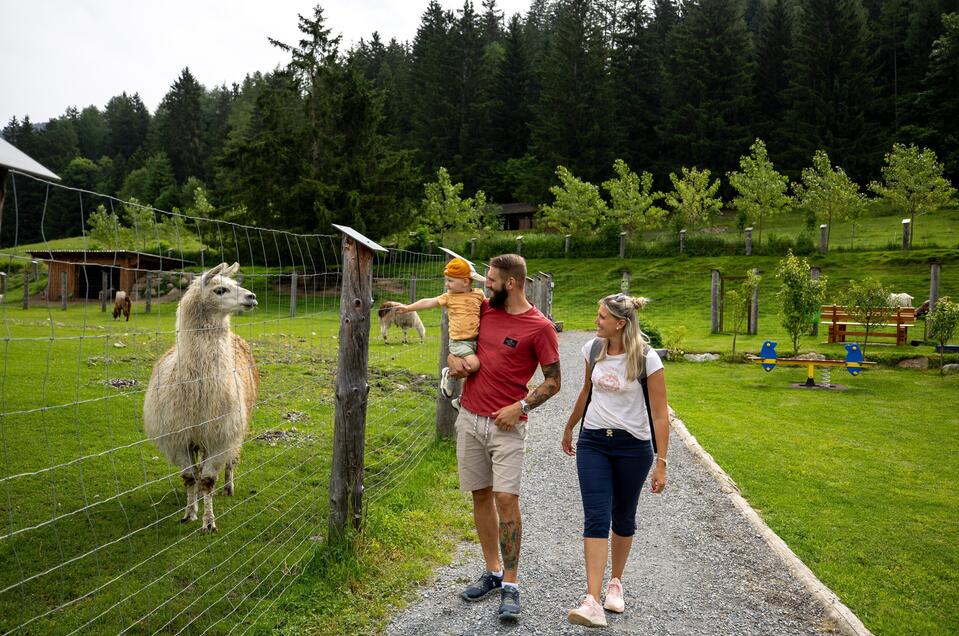 Tierpark und Erlebnisbauernhof Scheifling - Impression #1 | © Tourismusverband Murau