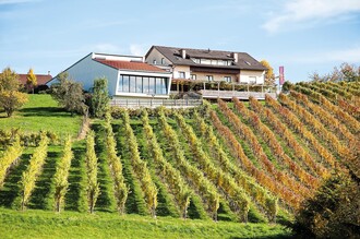 Weinerlebnis Martin Wippel Riegersburg | © Weinerlebnis Wippel