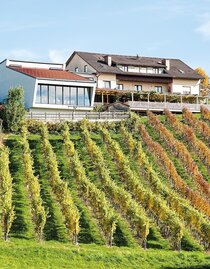 Weinerlebnis Martin Wippel Riegersburg | © Weinerlebnis Wippel | Der Ferdere | © Weinerlebnis Wippel