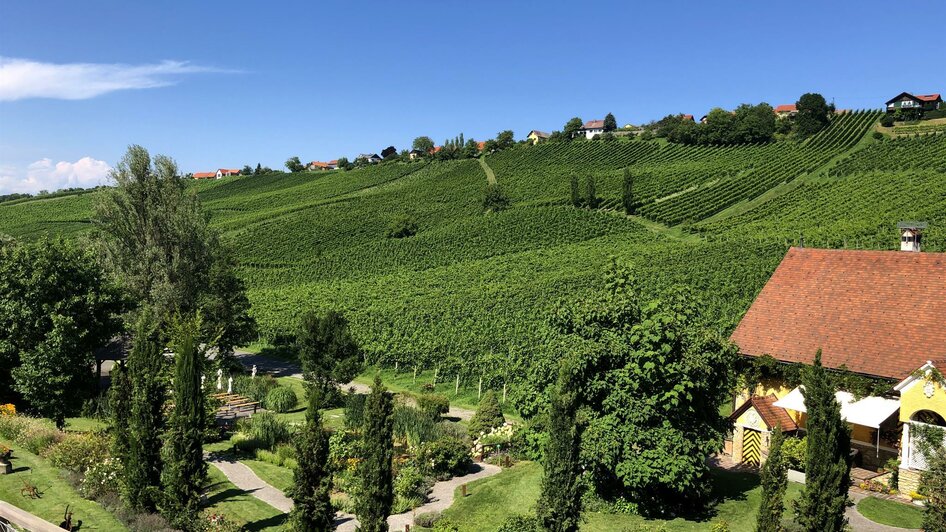 Weinberge_Park Weinberge_Park