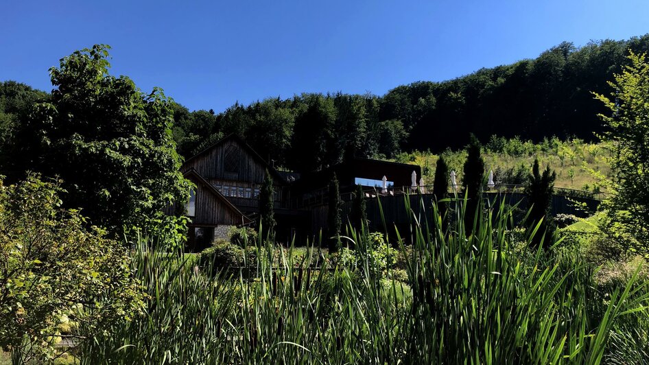 Blick_Teich_001 Blick_Teich_001