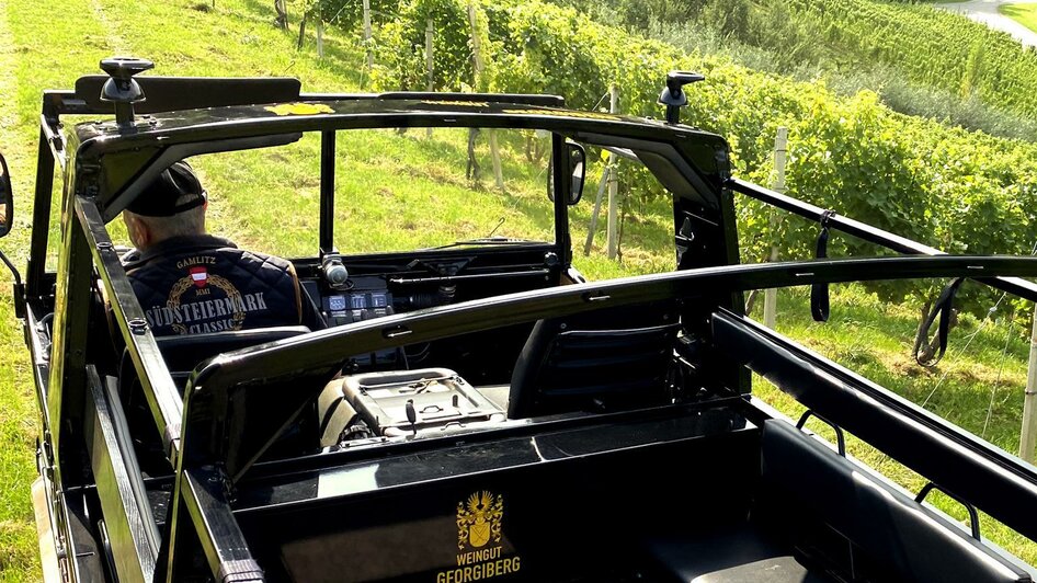 Pinzgauer_012 Pinzgauer_012