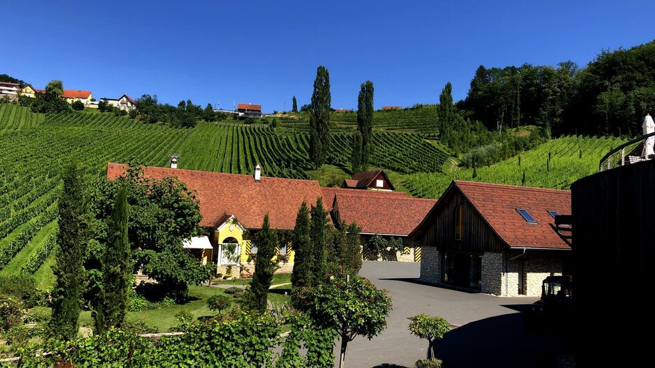 Blick_Weingut_Winzerhaus Blick_Weingut_Winzerhaus