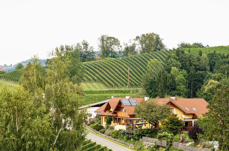 GDOG9643 | © Alois Stingl | Klapotetzhof Silberschneider Weingut Klapotetzhof Silberschneider - Impression #1 | © Alois Stingl | Klapotetzhof Silberschneider