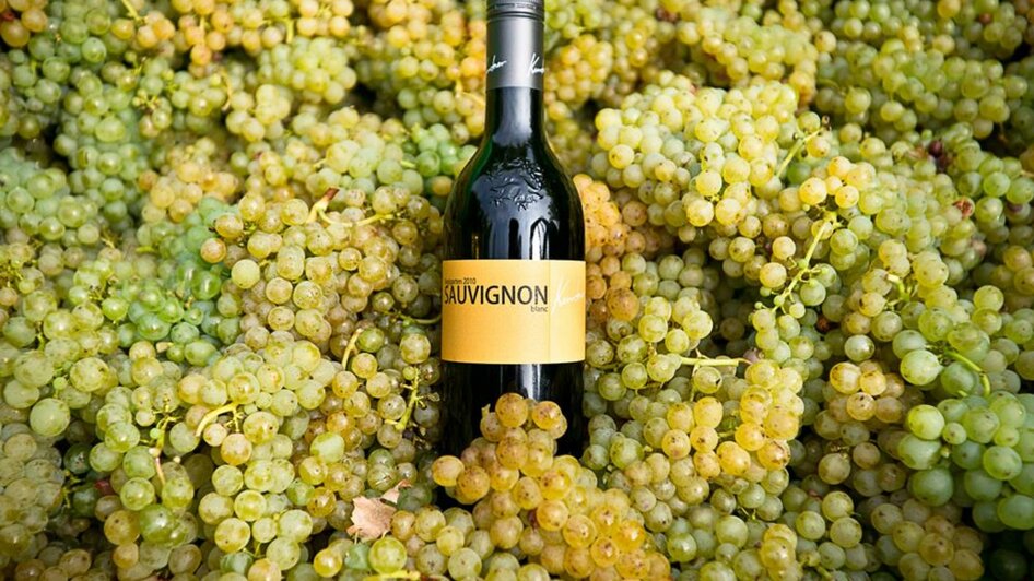 Weingut Kuntner Ernte | Thomas Kuntner | © Weingut Kuntner l Thomas Kuntner Weingut Kuntner Ernte | © Weingut Kuntner l Thomas Kuntner