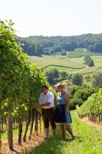 Work in den vineyard | © Weinhof Konrad