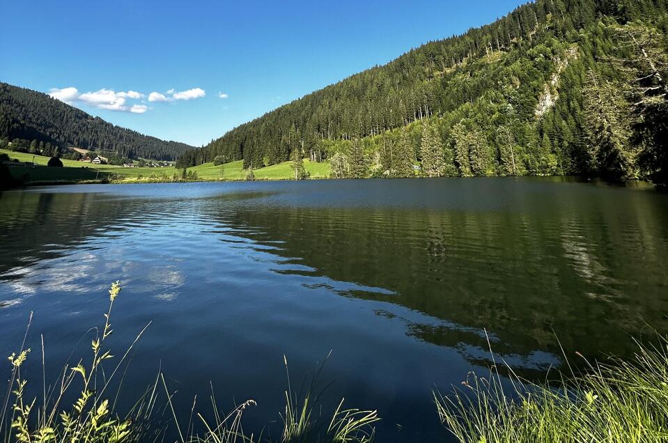 Weirerteich Pond - Impression #1 | © Tourismusverband Murau