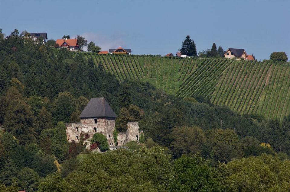 Burgruine Ligist - Impression #1 | © Rainer M. Fürstaller