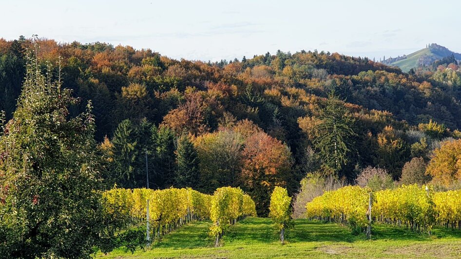 Weingut Bernhard 3 | © Weingut Buschenschank Bernhard