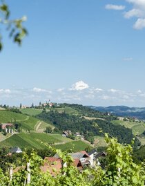 Lage mittem im Weinberg | © Karin Bergmann | © Karin Bergmann