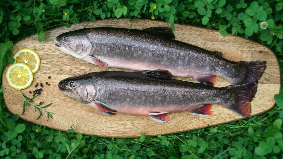 Fisch | © decleva's alpenfisch GmbH