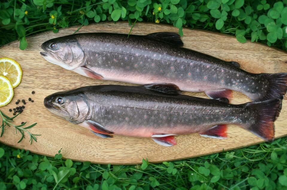DECLEVA'S ALPENFISCH Mariazell - Impression #1 | © decleva's alpenfisch GmbH