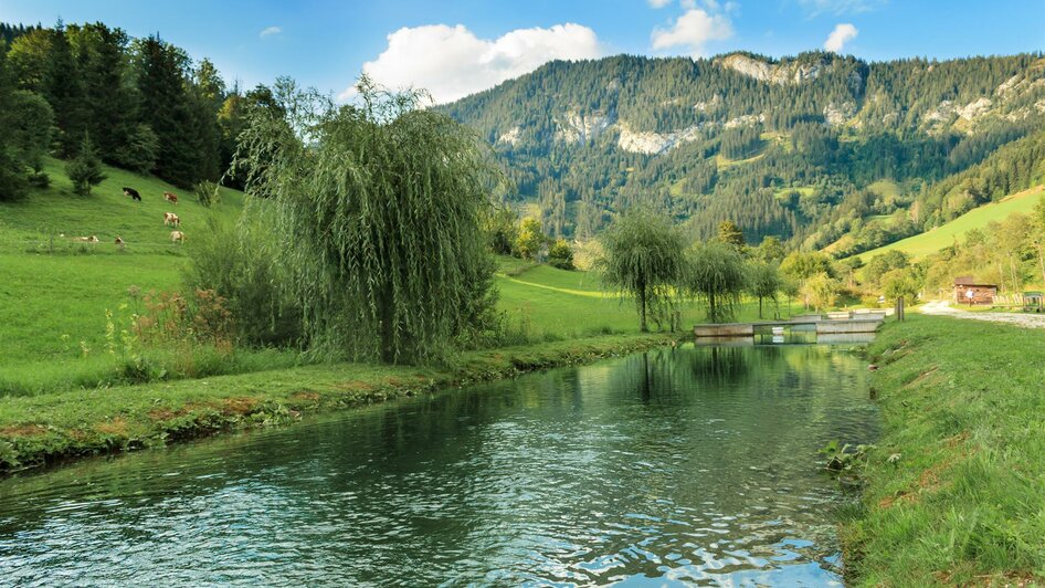 Fischteich | © decleva's alpenfisch GmbH