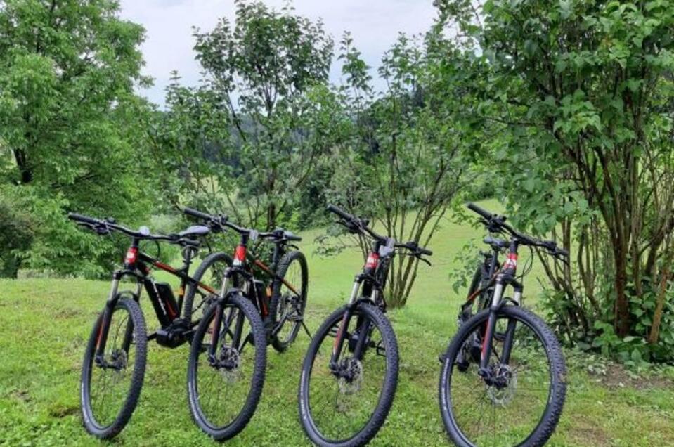 E-bike rental at the Kollerwirt in Kapfenstein - Impression #1 | © Radverleih Kollerwirt