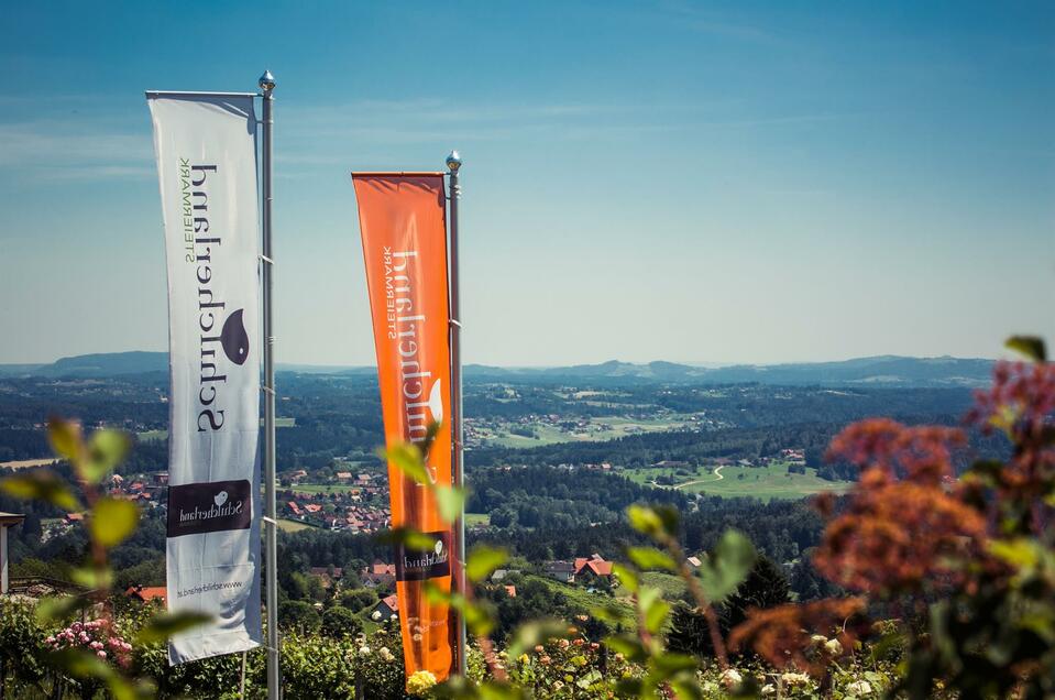 Logicdata - Impression #1 | © Schilcherland Steiermark