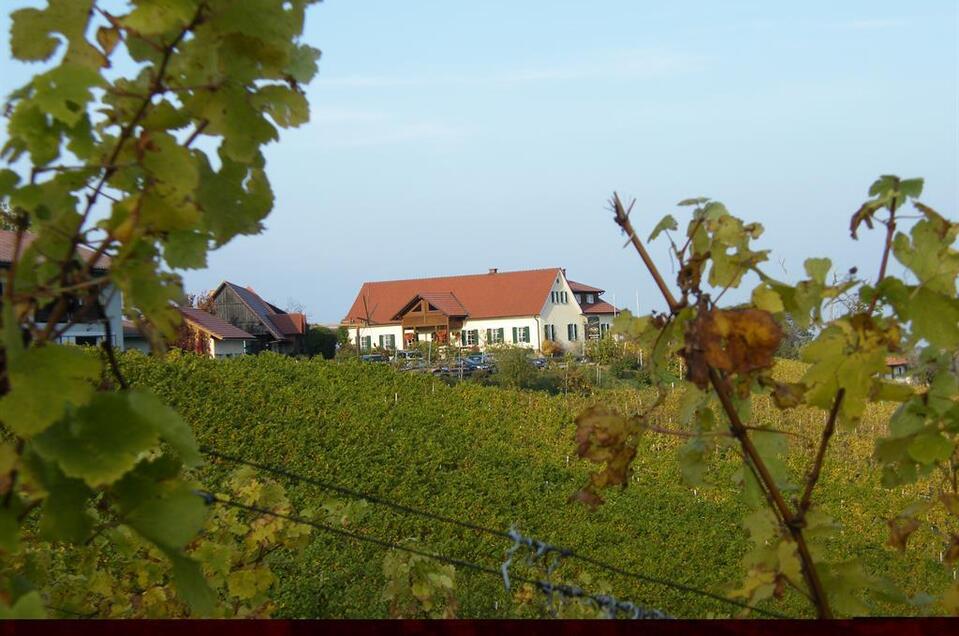Weingut Strohmeier vlg. Trobi - Impression #1 | © Weingut Strohmeier Trobi
