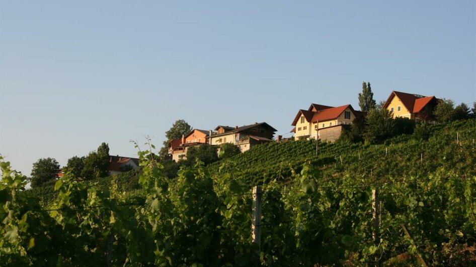 Weingut Wratschko-Merdonik_5 | © Wratschko