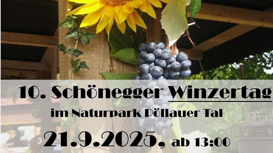 Plakat_10.Schönegger Winzertag_Pöllau_Oststeierm. | © Weinbaubetriebe Kainer, Safner, Spindler