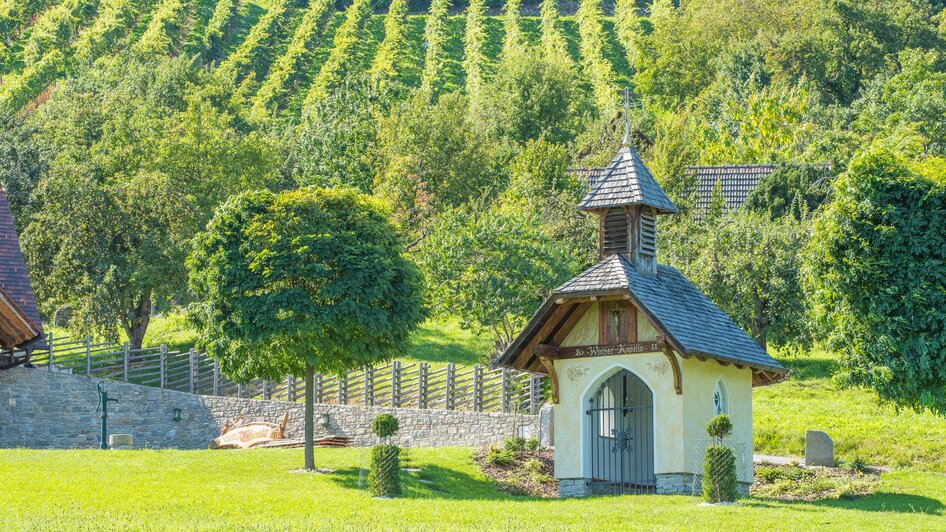 Winzertag Schönegg_Kapelle Pöllau_Oststeiermark | © Helmut Schweighofer