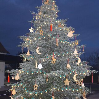 Christbaum am Dorfplatz Bad Loipersdorf | © Gemeinde Bad Loipersdorf