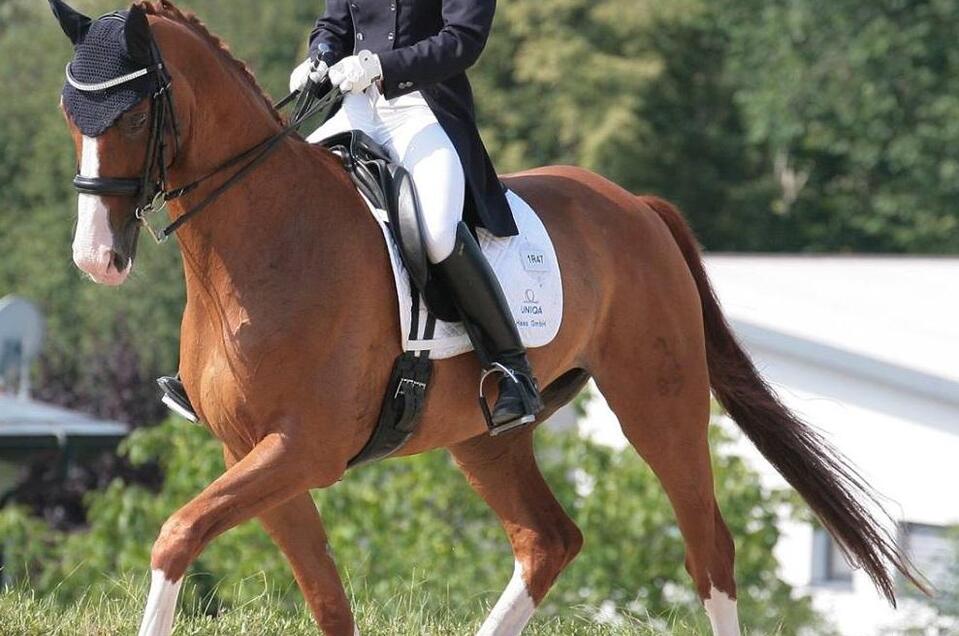 Reiterin mit Pferd_Reitturnier_Ring_Oststeiermark | © Tourismusverband Oststeiermark