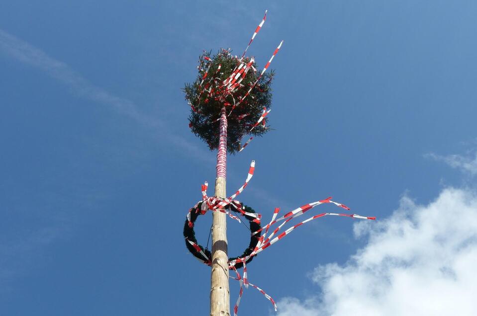 Maibaum_Oststeiermark | © Pixaby
