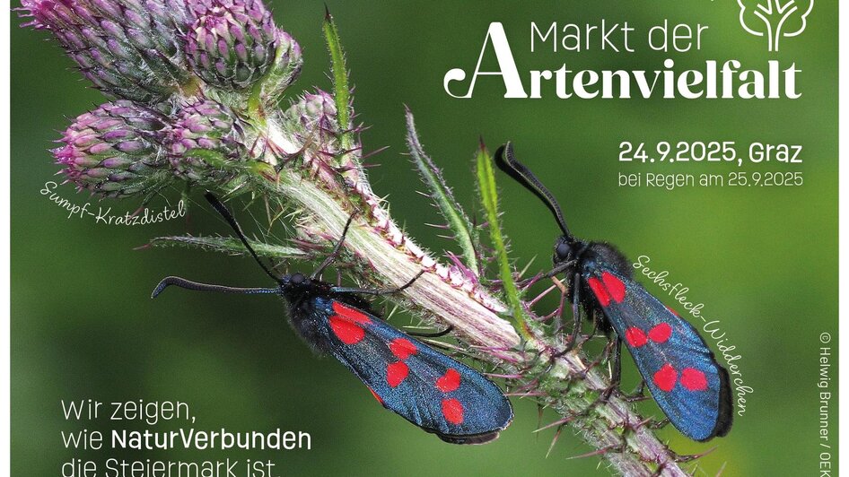 Save-the-Date | © Helwig Brunner / ÖKOTEAM