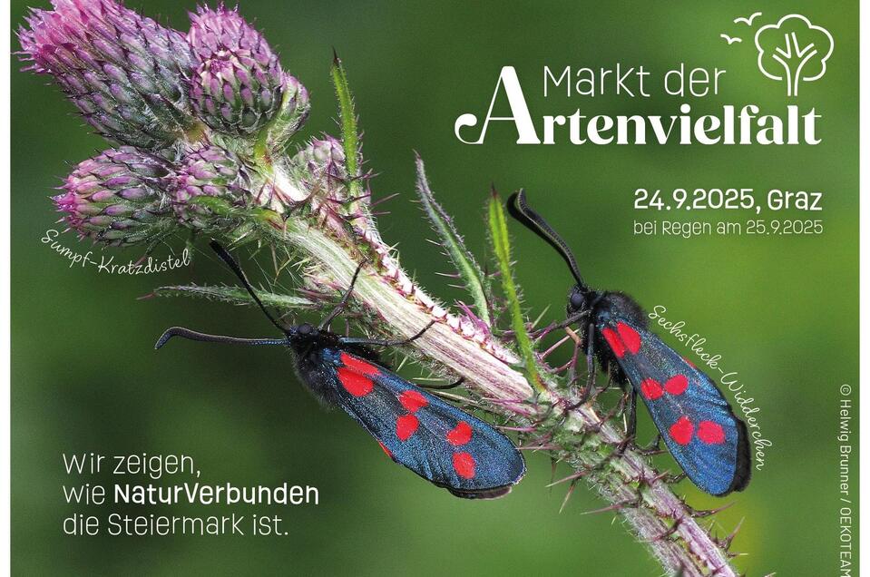 Save-the-Date | © Helwig Brunner / ÖKOTEAM