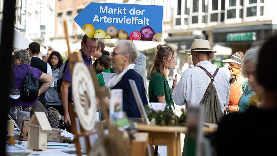 Markt_der_Artenvielfalt_2023_Herrengasse(2 | © c_Oliver_Wolf.