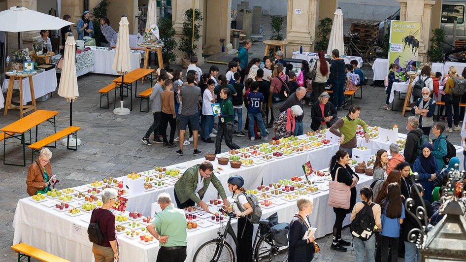 Markt_der_Artenvielfalt_2023_Landhaushof(2 | © _c_Oliver_Wolf