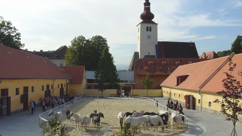 Innenhof_Lipizzanergestüt Piber | © SHS